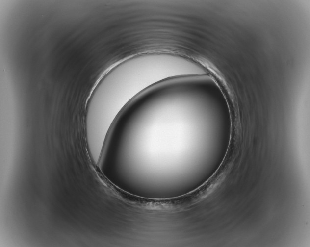 X0000087611089200704271056