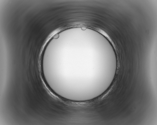 X0000087611090200704271056