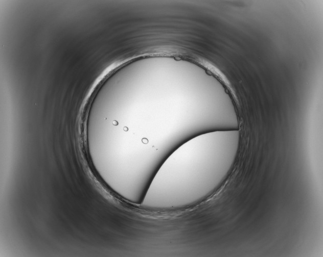 X0000087611091200704271056