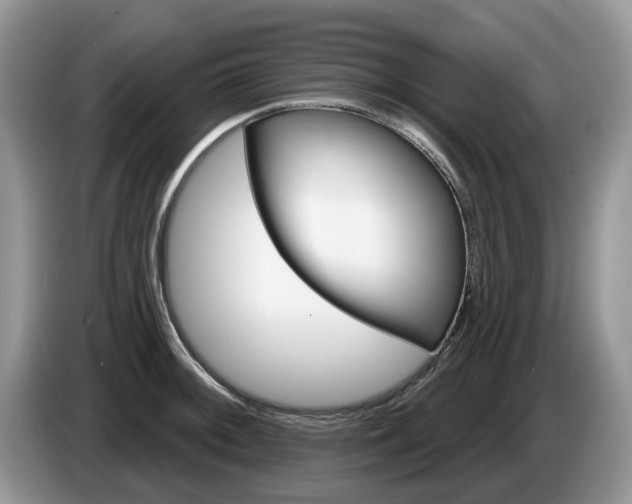 X0000087611092200704271056