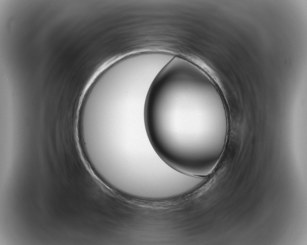 X0000087611093200704271056