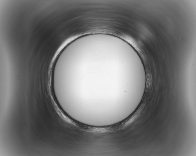 X0000087611094200704271056
