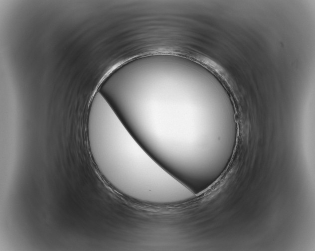 X0000087611097200704271056