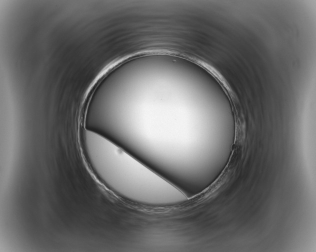 X0000087611101200704271056