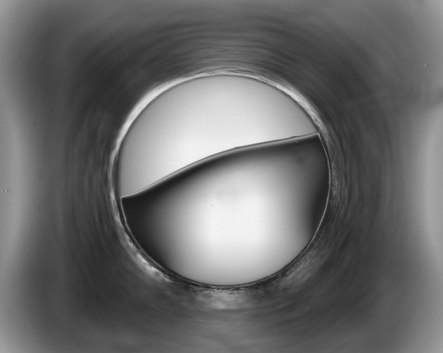 X0000087611102200704271056