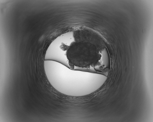 X0000087611106200704271056