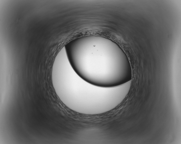 X0000087611109200704271056