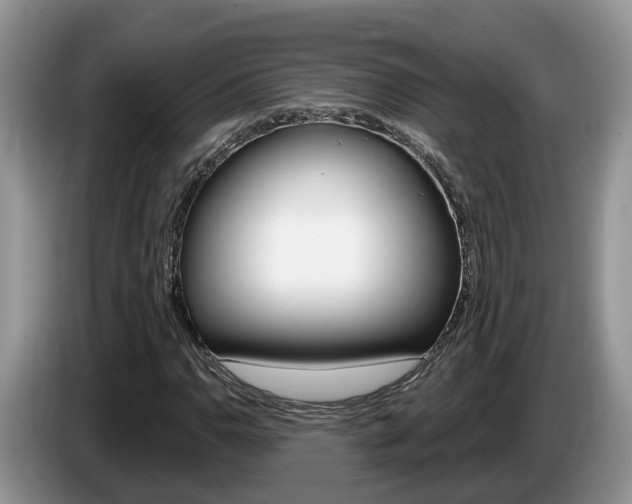 X0000087611110200704271056