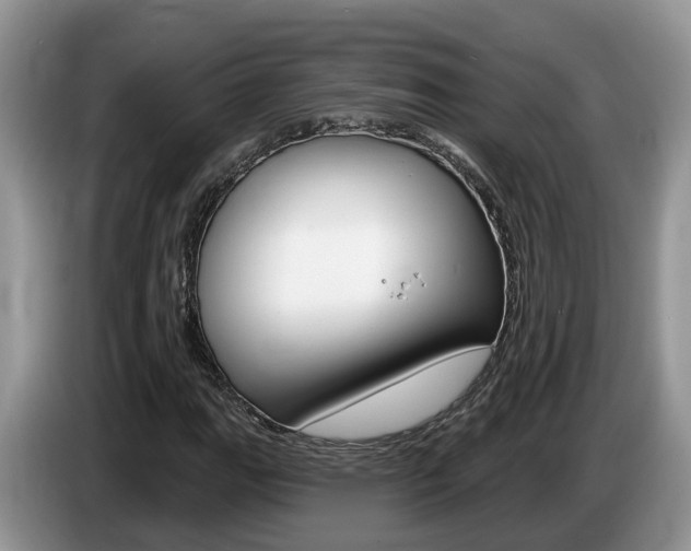 X0000087611111200704271056
