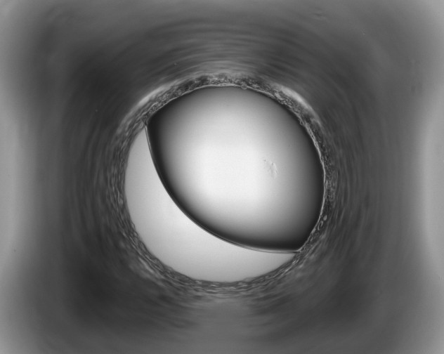 X0000087611112200704271056
