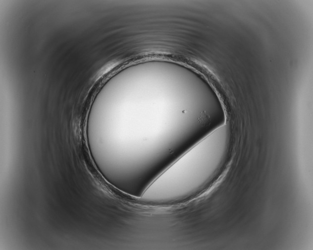 X0000087611113200704271056