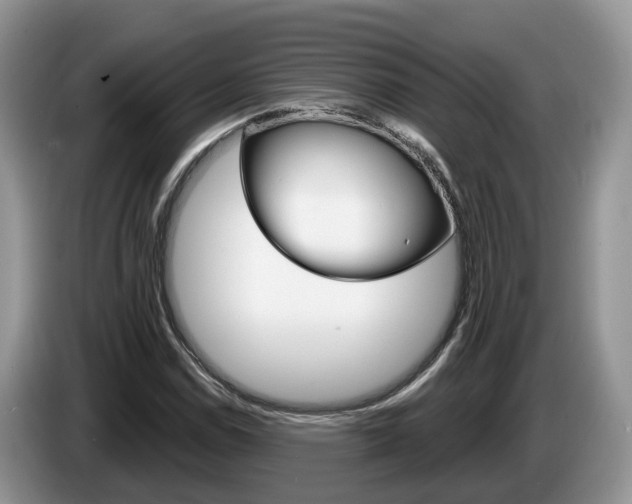 X0000087611114200704271056