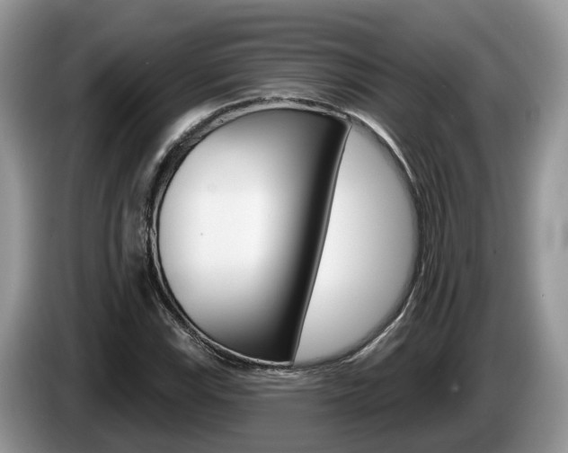X0000087611115200704271056