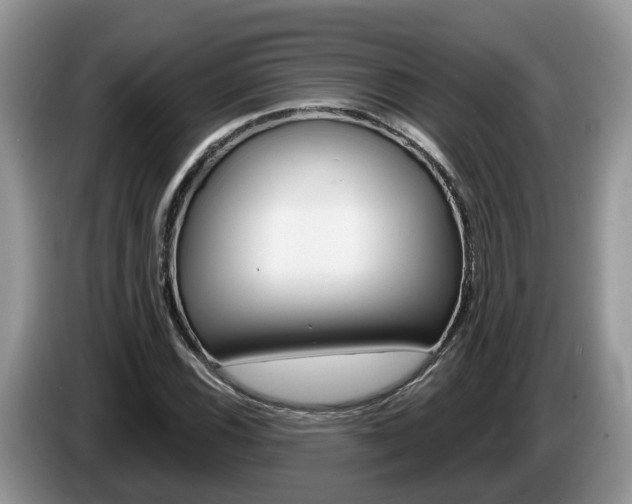 X0000087611116200704271056