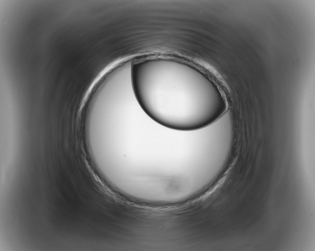 X0000087611118200704271056