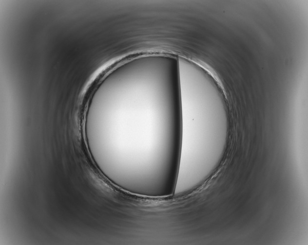 X0000087611120200704271056