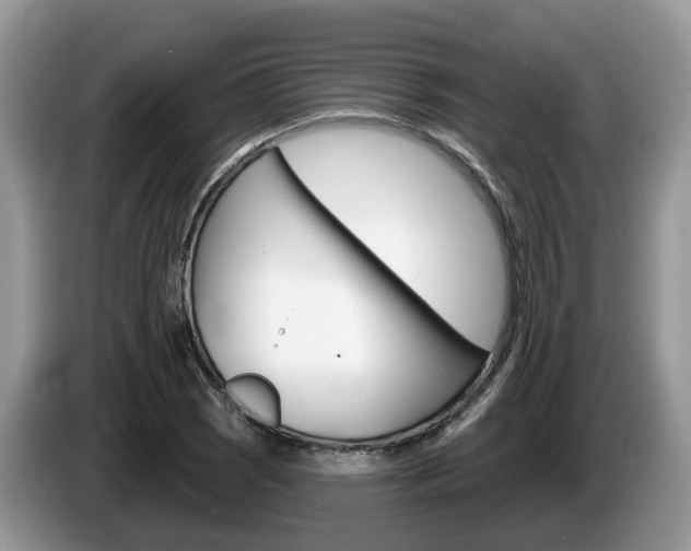 X0000087611121200704271056