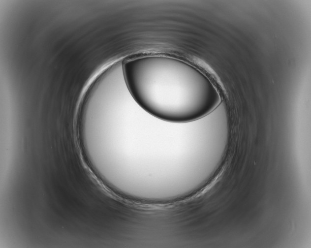 X0000087611122200704271056