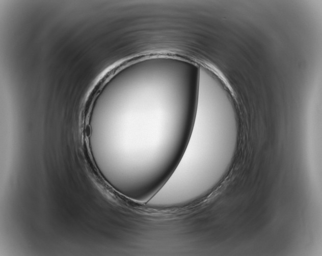 X0000087611124200704271056