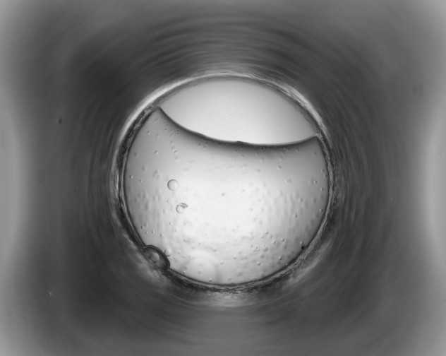 X0000087611125200704271056