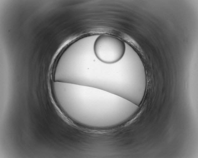 X0000087611130200704271056