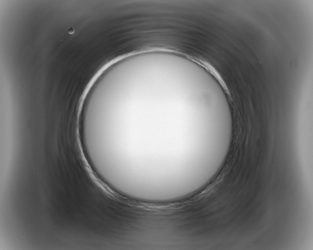 X0000087611132200704271056