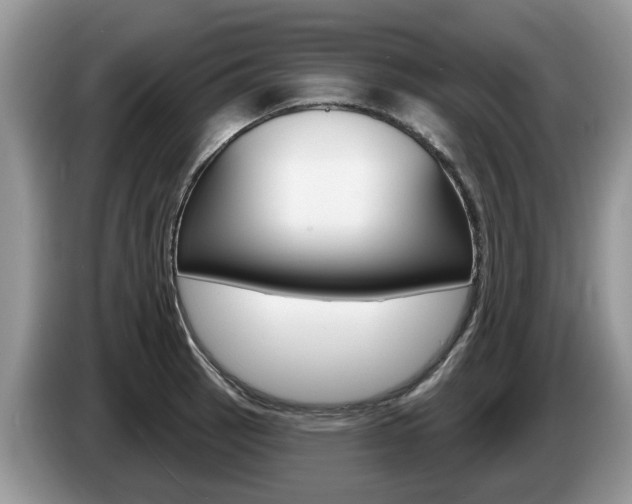 X0000087611137200704271056