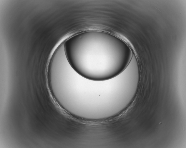 X0000087611138200704271056