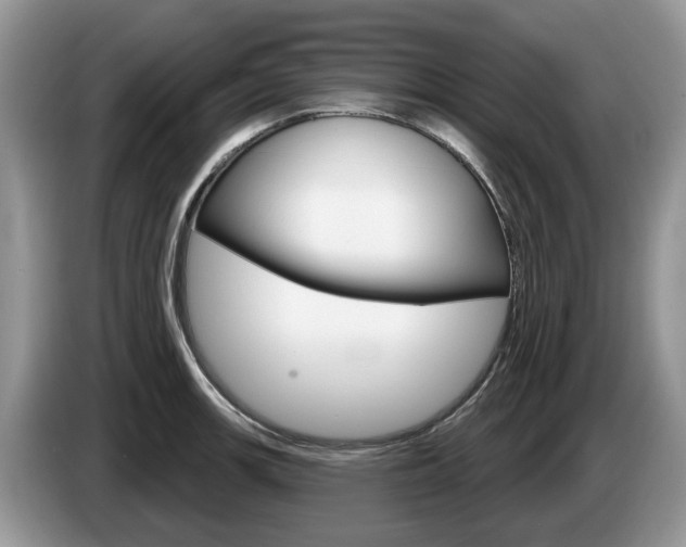 X0000087611139200704271056