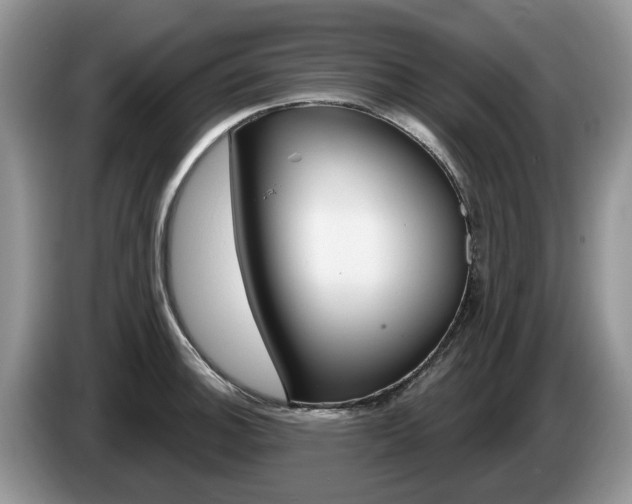 X0000087611140200704271056