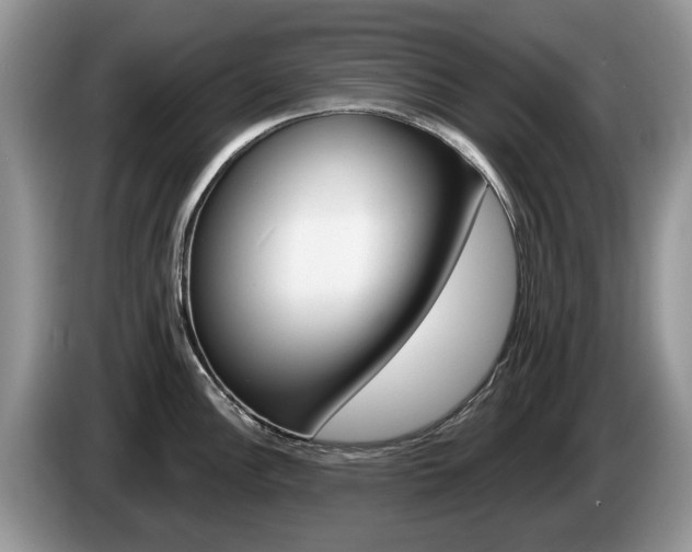 X0000087611148200704271056