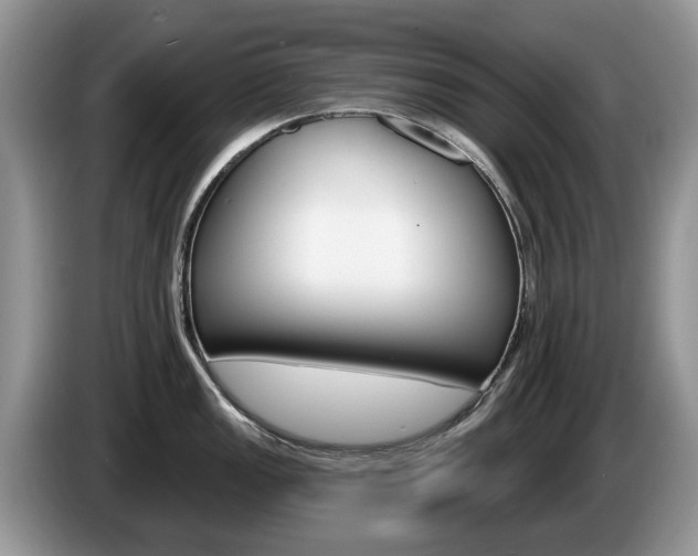 X0000087611149200704271056