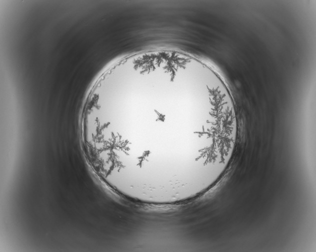 X0000087611150200704271056