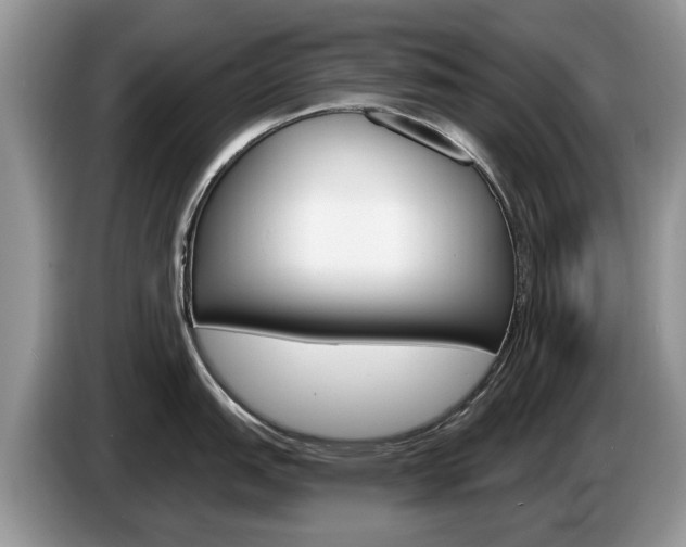 X0000087611151200704271056