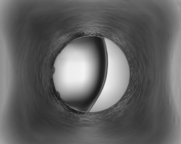 X0000087611153200704271056