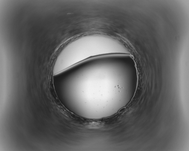X0000087611160200704271056