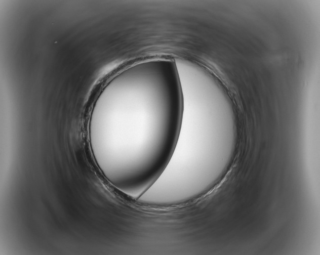 X0000087611164200704271056