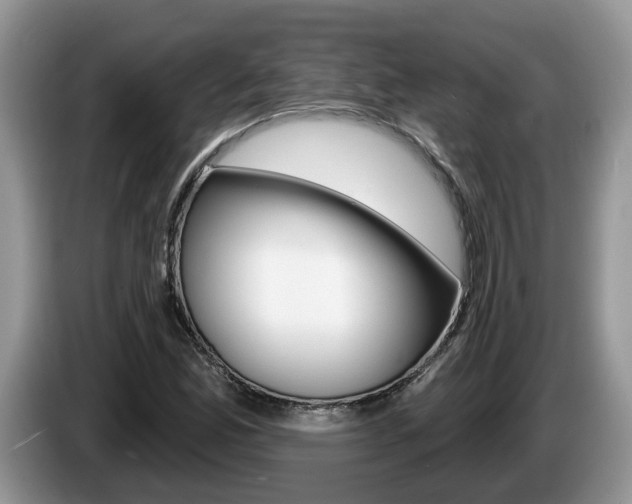 X0000087611165200704271055