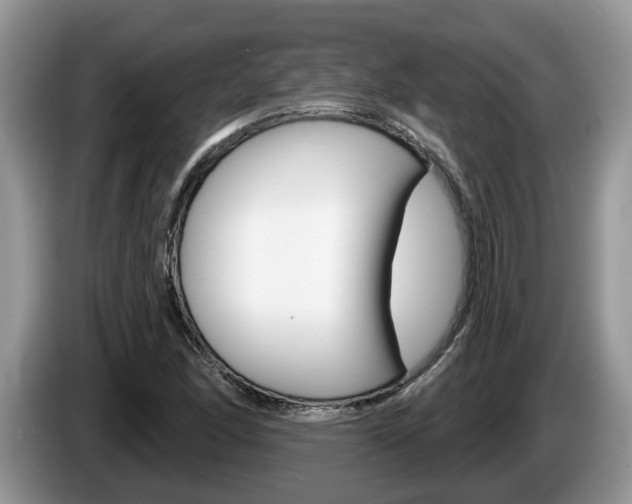 X0000087611166200704271055