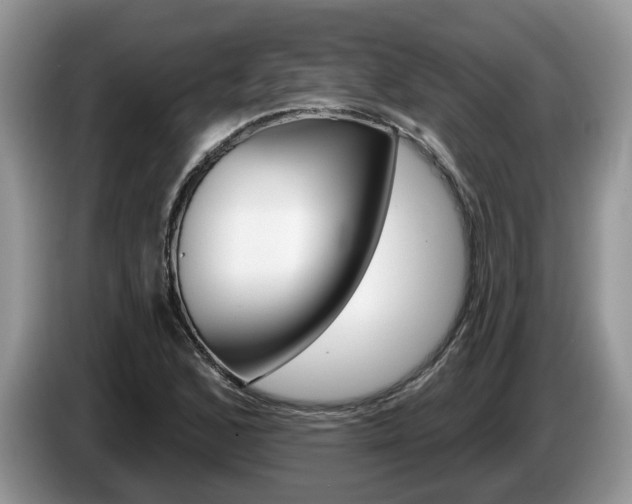 X0000087611168200704271055