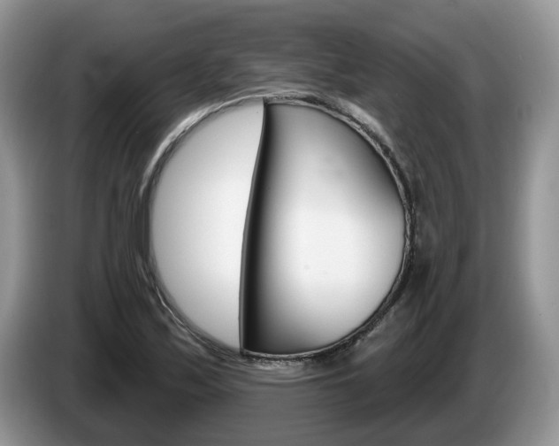 X0000087611171200704271055