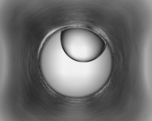 X0000087611172200704271055