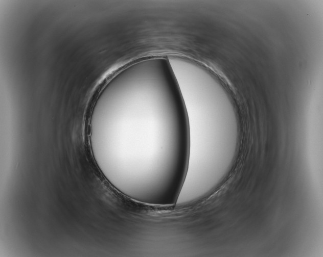 X0000087611173200704271055
