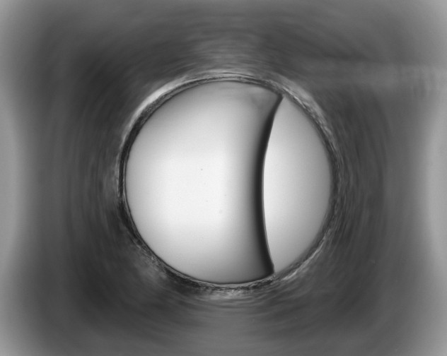 X0000087611174200704271055