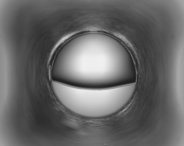 X0000087611175200704271055