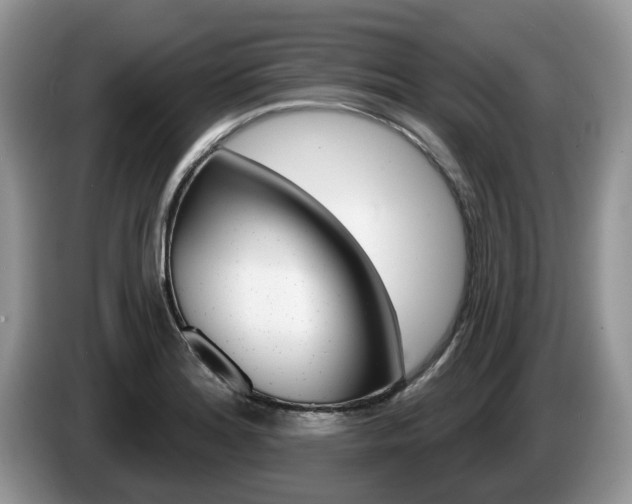 X0000087611180200704271055