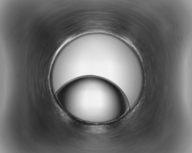 X0000087611181200704271055
