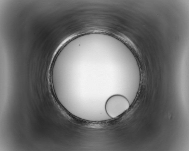 X0000087611182200704271055