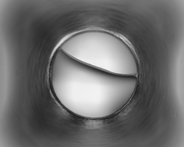 X0000087611183200704271055