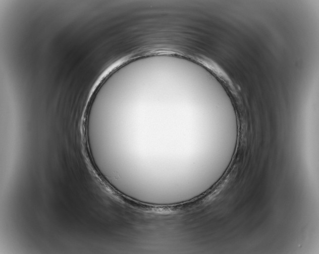 X0000087611190200704271055